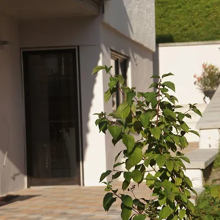 Apartment Mayer